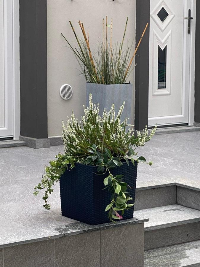 Decoluxe !Apartamento Con 1 Camera Da Letto , In Zona San Paolo , Via Martiniana Turín Exterior foto